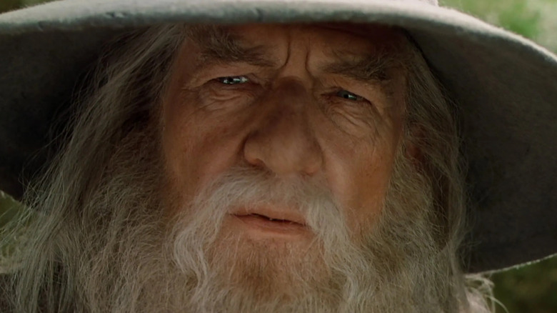 Gandalf the Grey in the Shire