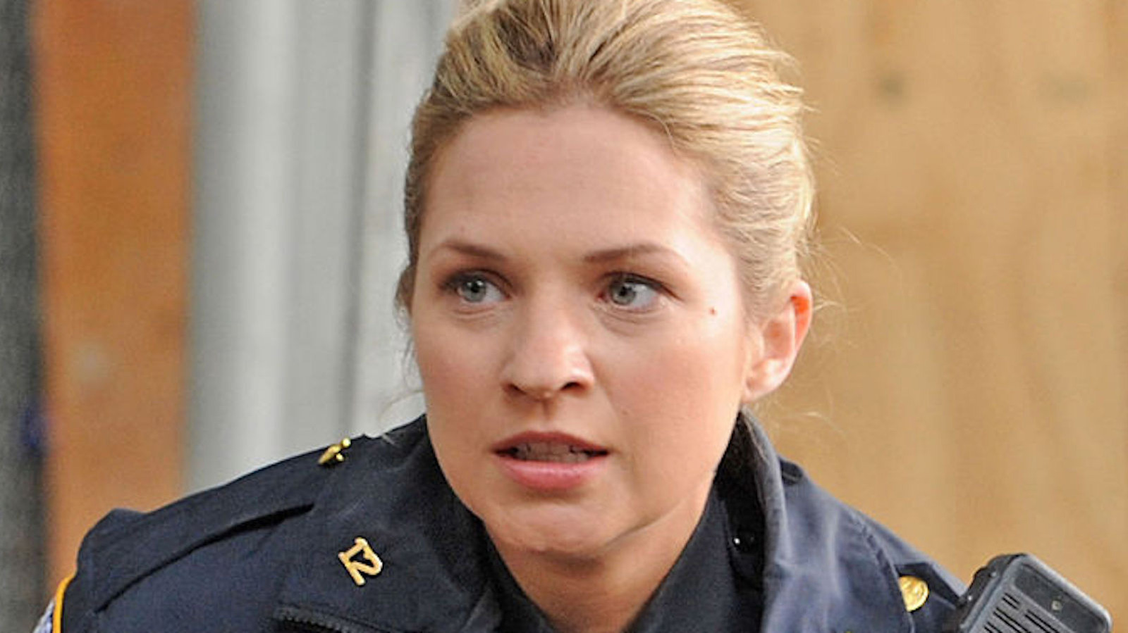 The Blue Bloods Crossover Vanessa Ray Wants To See A Reality