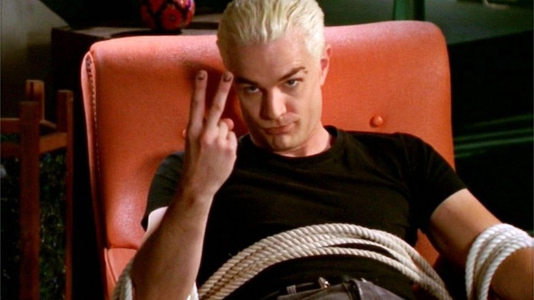 Spike tied to a chair 