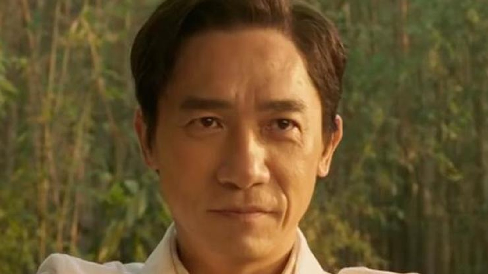 Tony leung shang chi