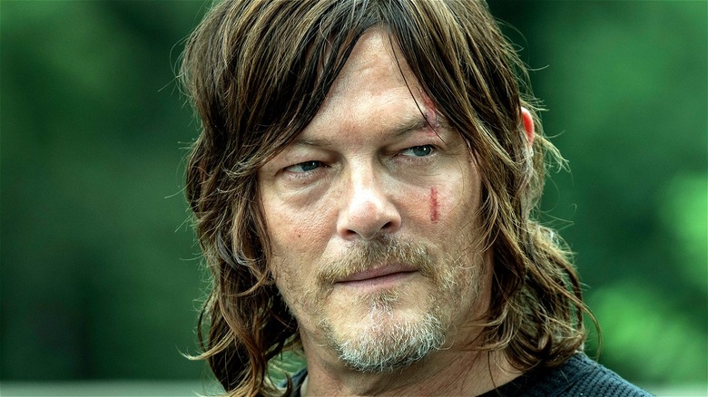 Walking Dead Daryl Scarred Face