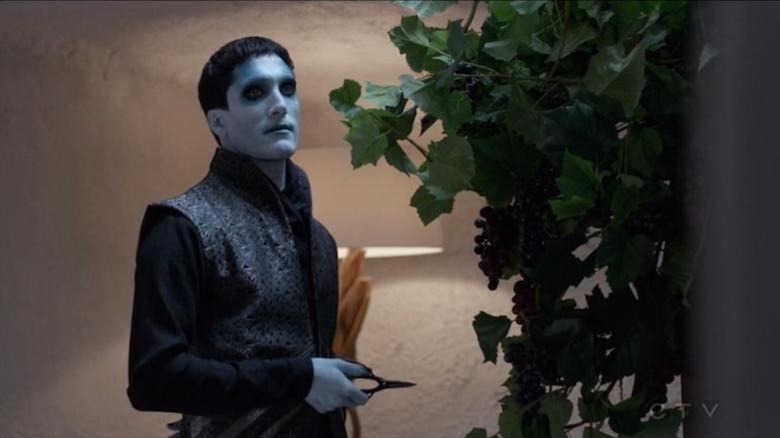 Kasius trimming a plant