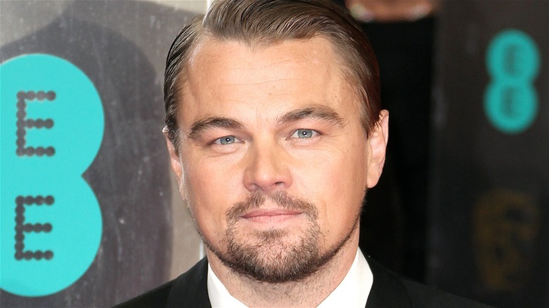 Leonardo DiCaprio goatee