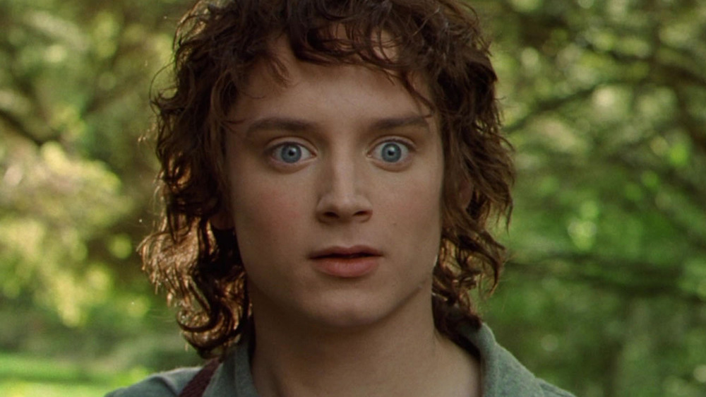 Frodo Baggins in the Shire