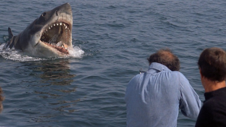 Jaws