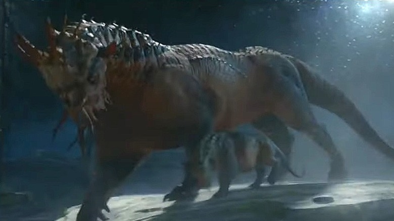 Graphorn walking with its baby