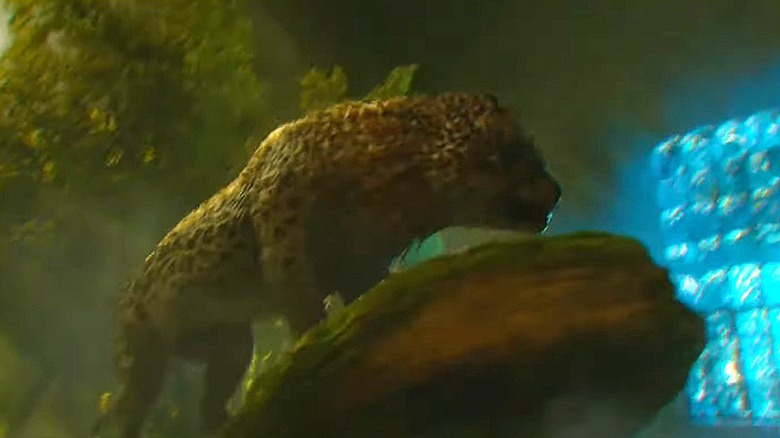 Nundu climbing his rock