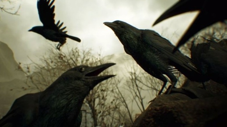 Crows swarming