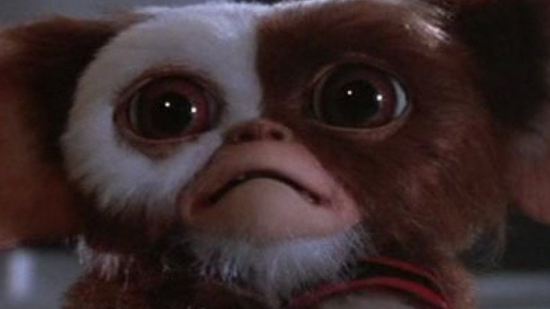 Gremlins Gizmo