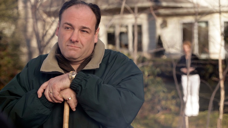 James Gandolfini in The Sopranos