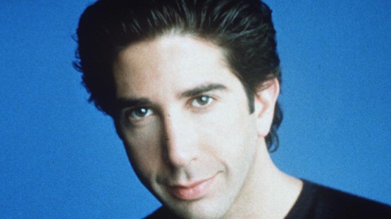 David Schwimmer poses