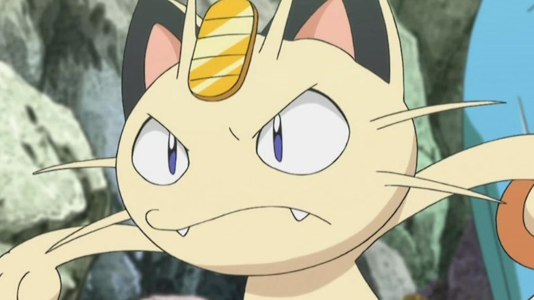 Meowth stares angrily