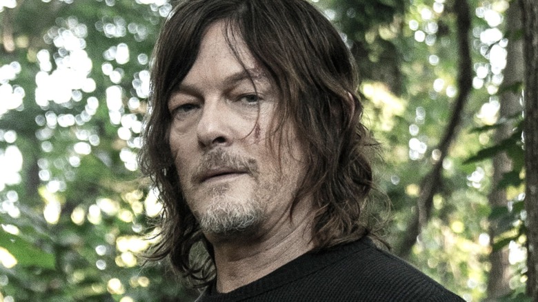 Norman Reedus as Daryl Dixon