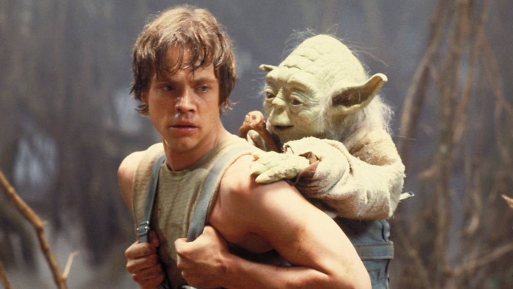 Yoda and Luke Skywalker training