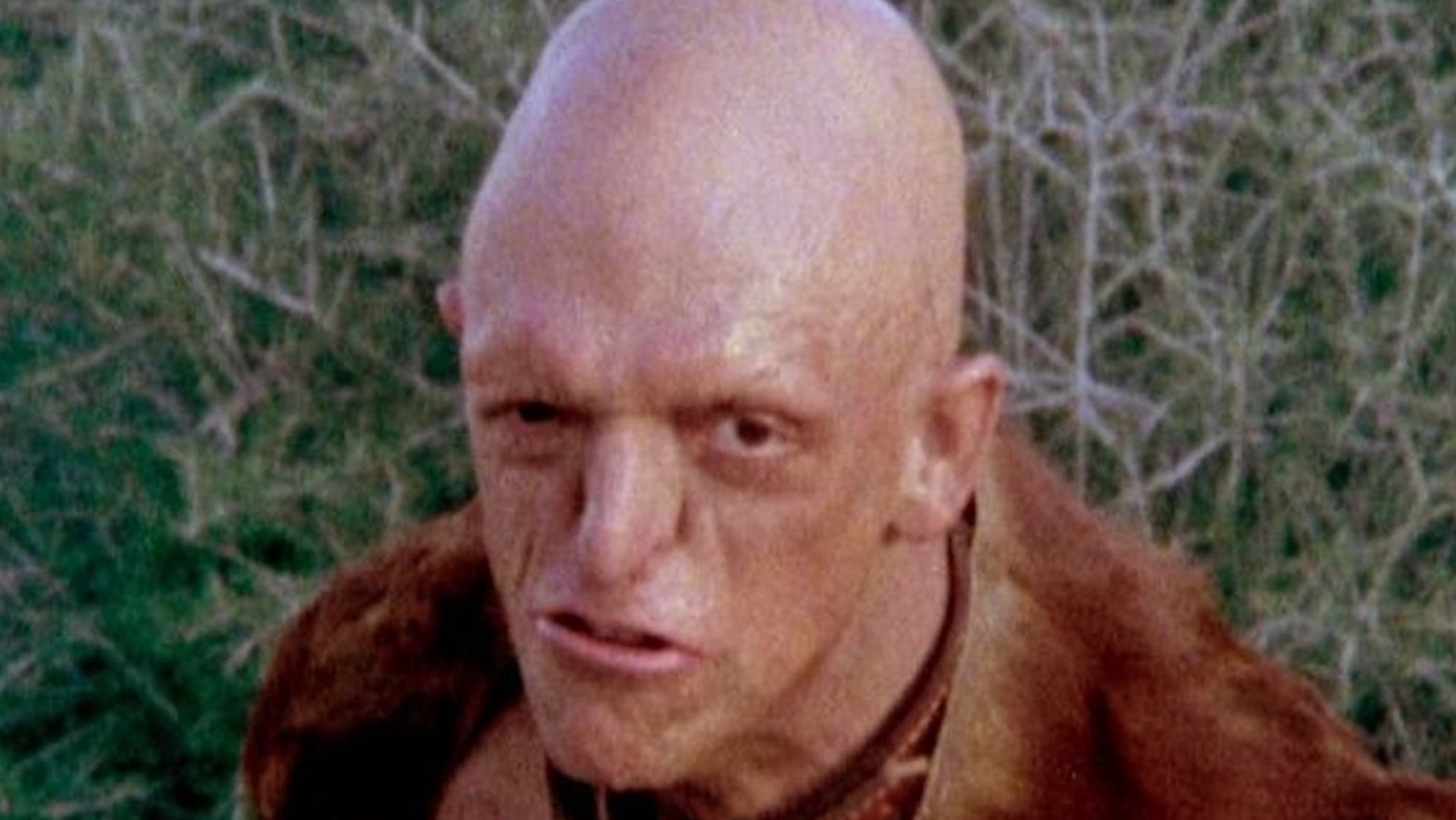 The hills clearance have eyes
