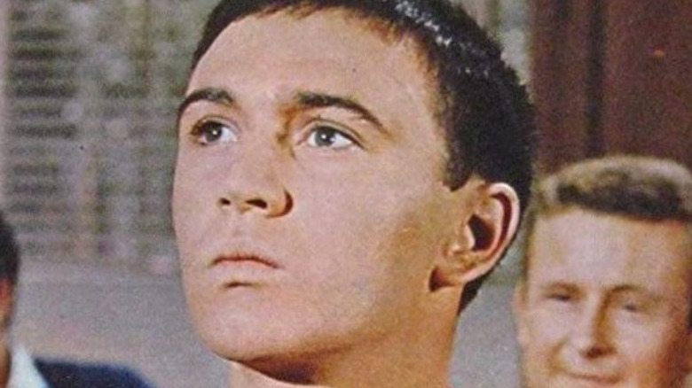 Tommy Kirk in 'The Monkey's Uncle'