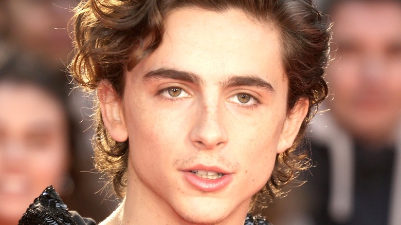 Timothée Chalamet posing at event