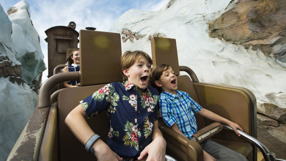 Expedition Everest Animal Kingdom Disney