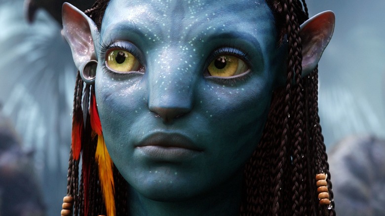 Neytiri looks