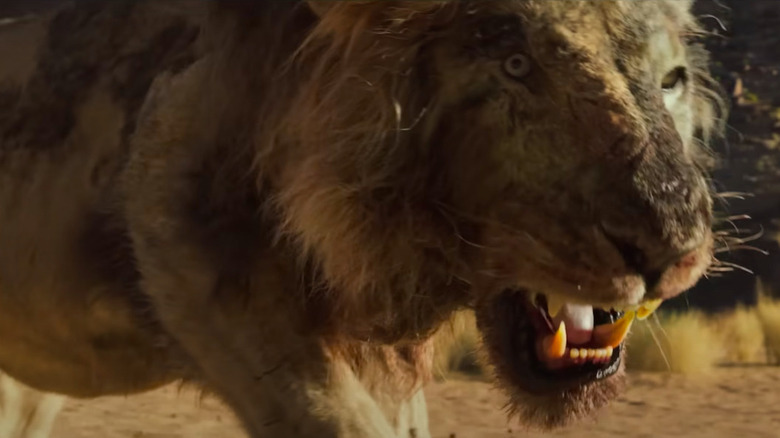 The burned lion