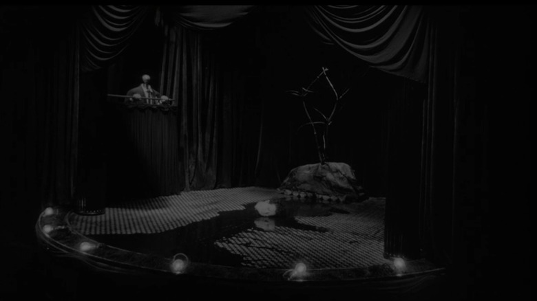 Abstract shot of Spencer and a tree