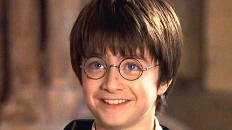 Daniel Radcliffe as Harry Potter