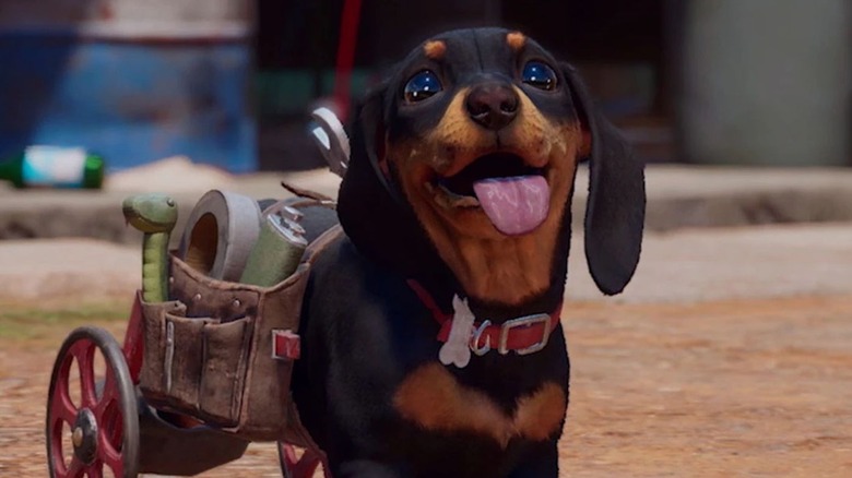 Chorizo the dog 