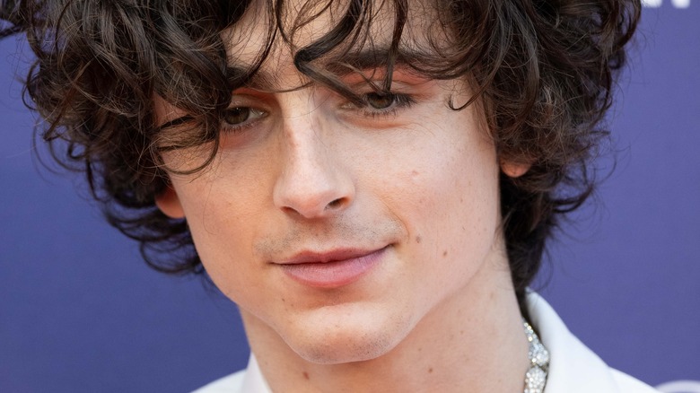 Timothee Chalamet looking brooding