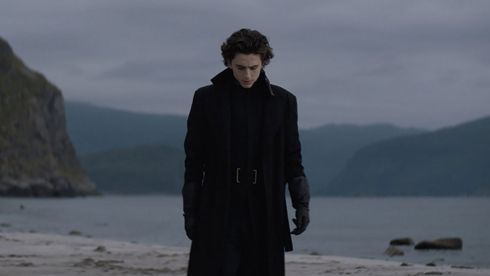 Timothee Chalamet as Paul Atreides on Caladan, from Dune