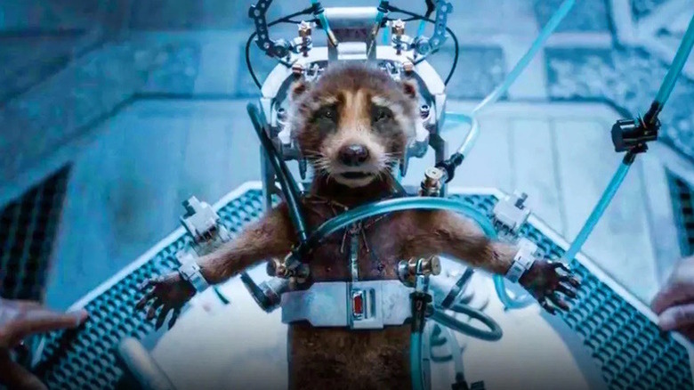 Young Rocket Raccoon is experimented on in "Guardians of the Galaxy Vol. 3" (2023)