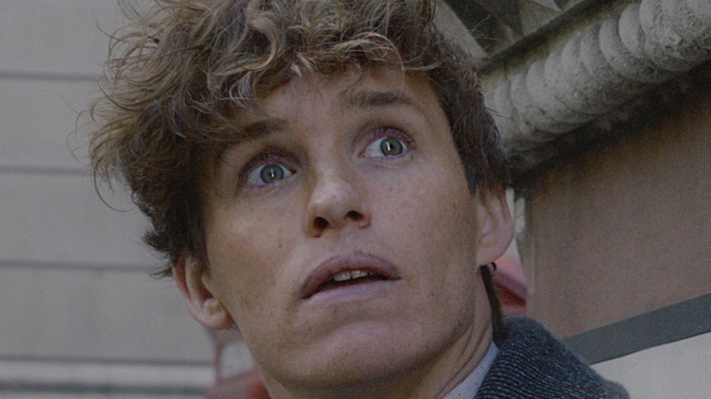 Close up of Newt Scamander