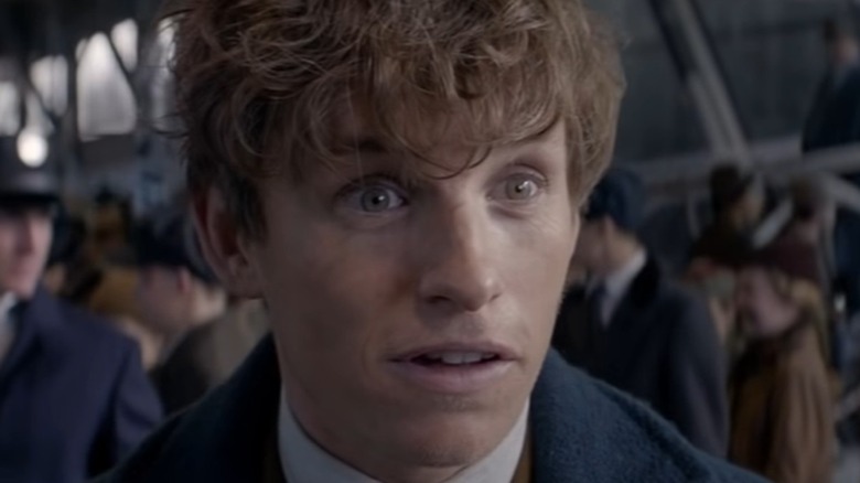 Newt Scamander surprised in Fantastic Beasts