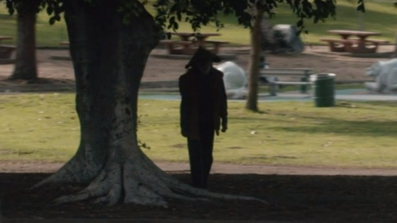  Un caminant parat en un parc