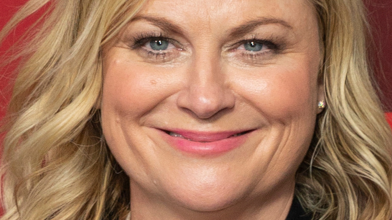 Amy Poehler smiling