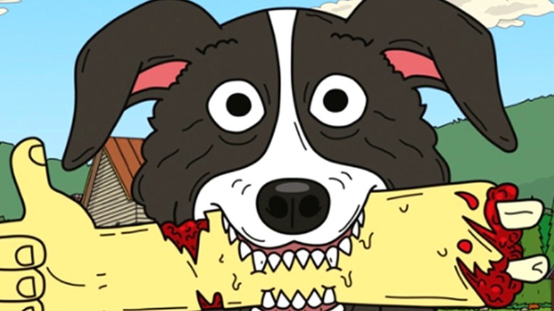 Mr. Pickles TV Review