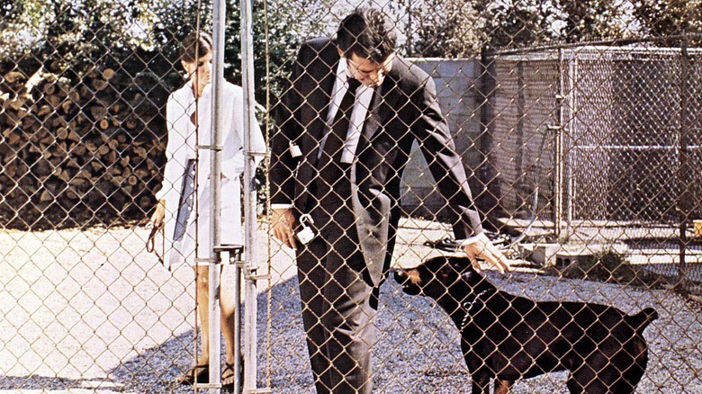 James Garner pets a dog