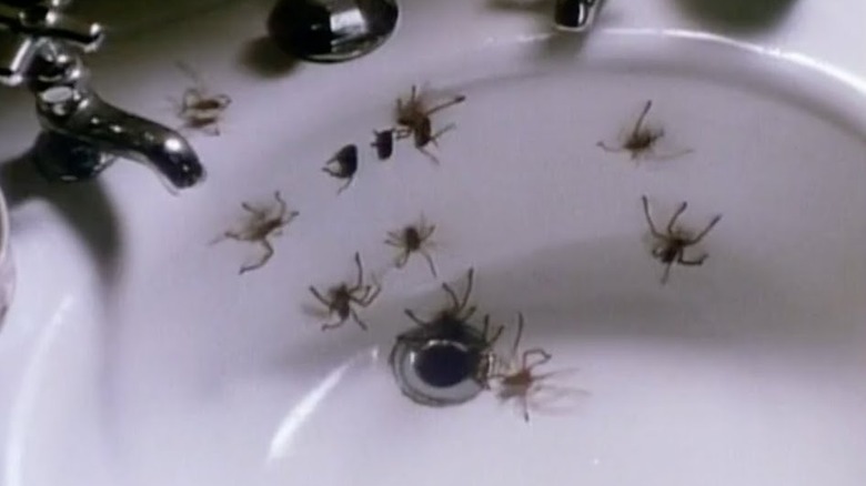 Spiders in Arachnophobia