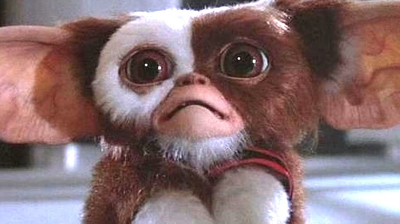 Gremlins Gizmo Worried Face