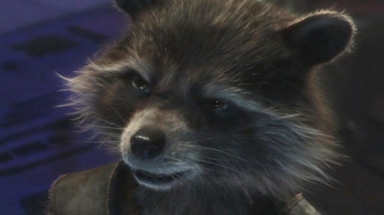 Rocket Raccoon in Infinity War