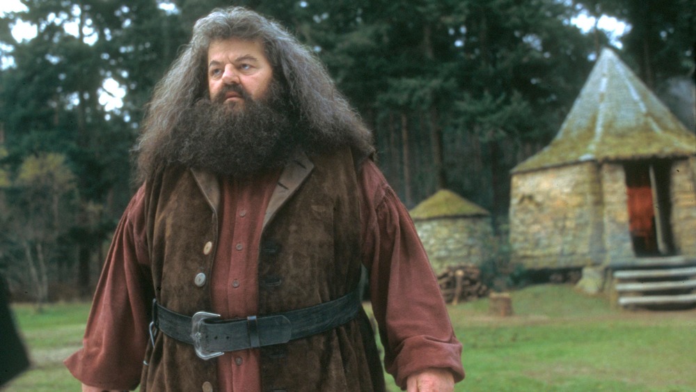 Rubeus Hagrid concerned