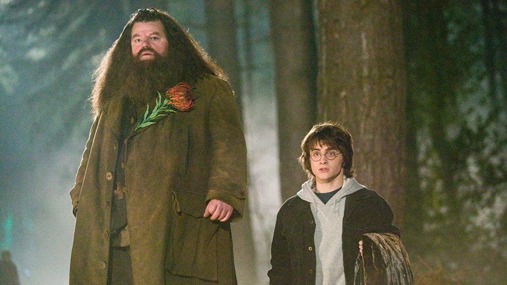Robbie Coltrane and Daniel Radcliffe in Harry Potter
