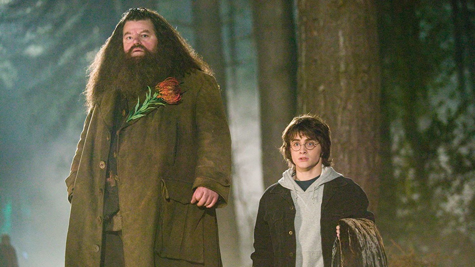 olympe maxime and hagrid