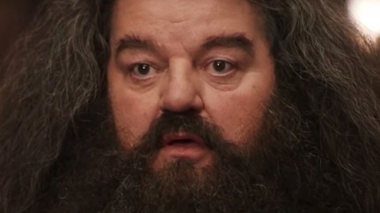 Hagrid surprised