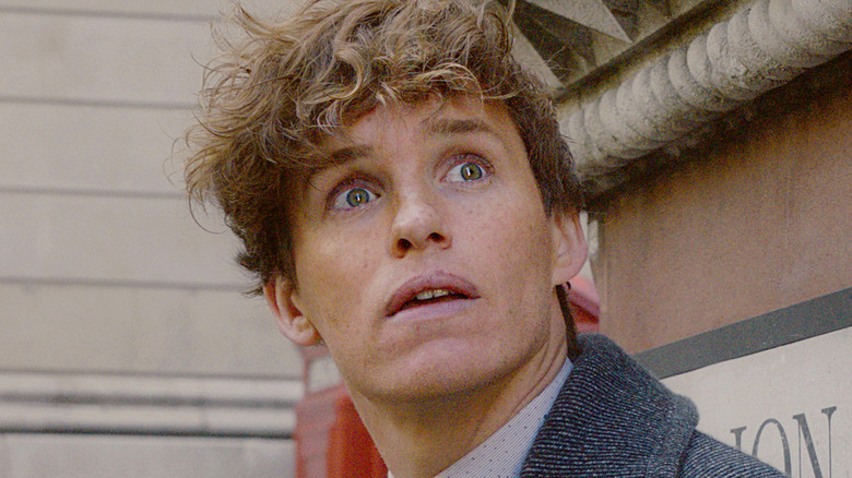 Eddie Redmayne Newt Scamander surprised