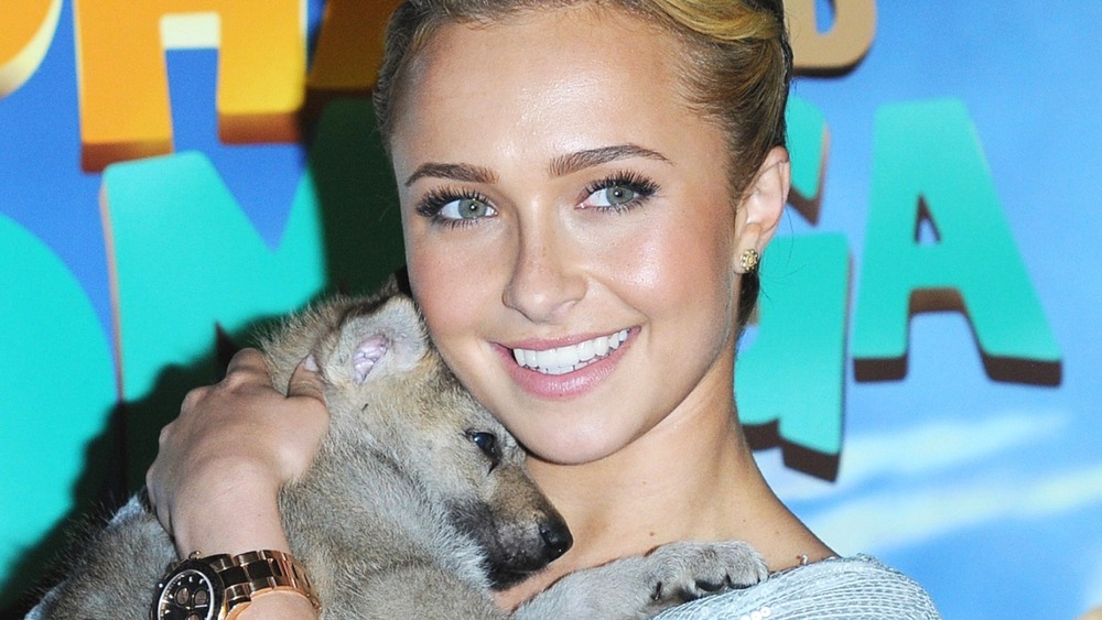 Hayden Panettiere holding a wolf