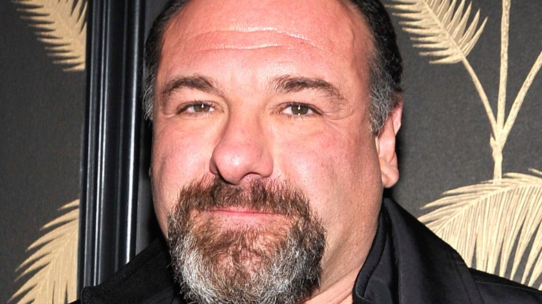 James Gandolfini in closeup 