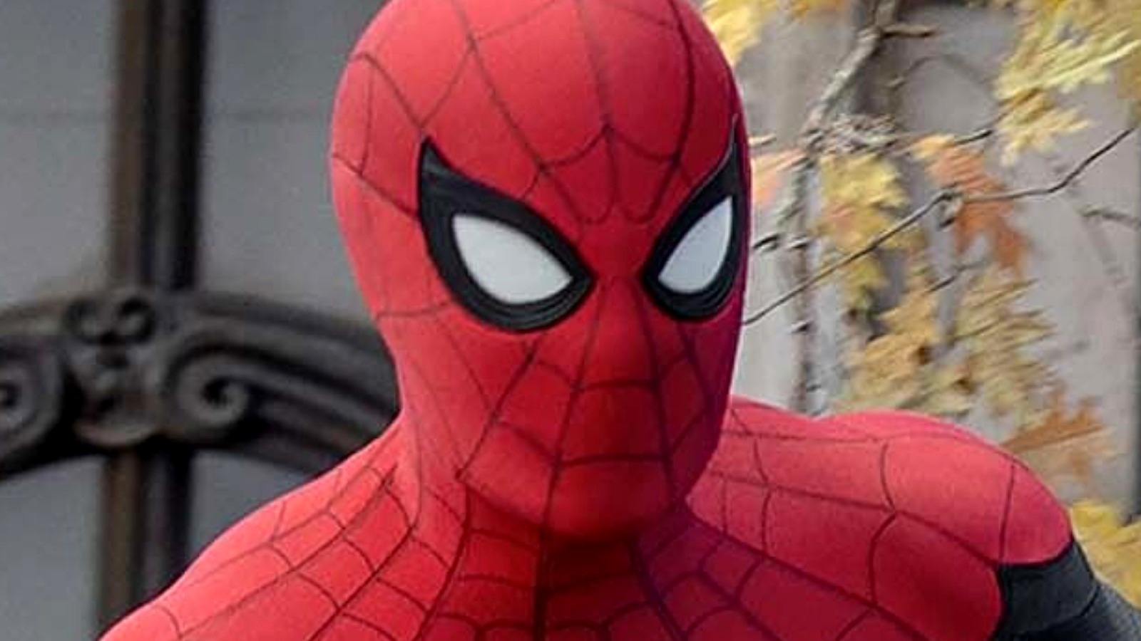 The Highest Grossing Movies Of 2021