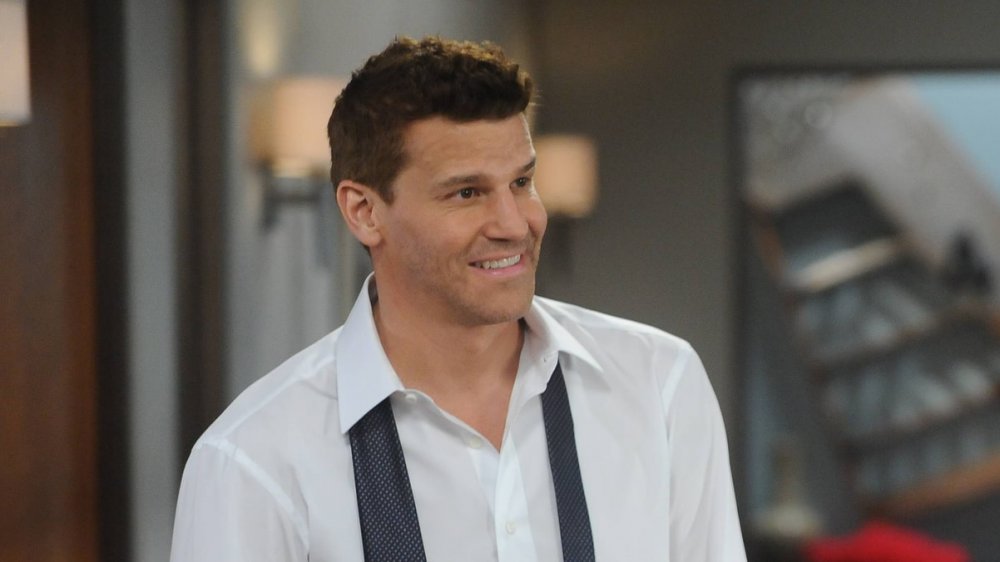 David Boreanaz as Agent Seeley Booth