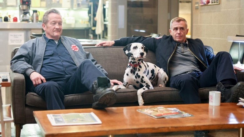 Mouch, a Dalmatian, and Herrmann on the couch