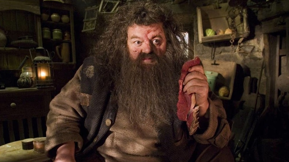 Robbie Coltrane as Rubeus Hagrid